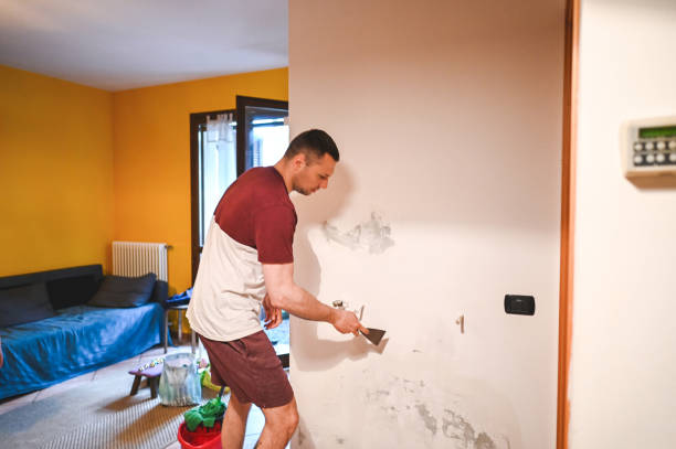 Best Mold Removal and Inspection  in St Michaels, MD